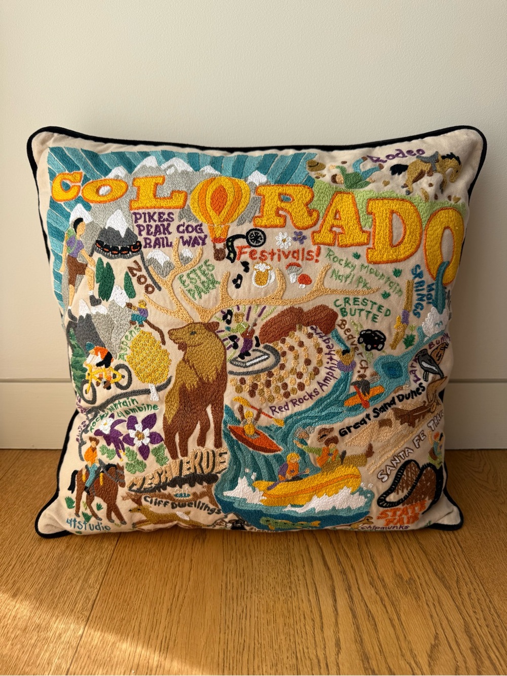 CatStudio Summer Colorado Hand-Embroidered Pillow
